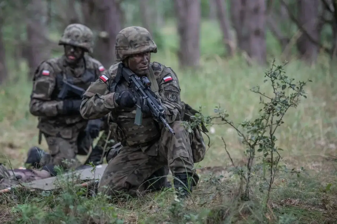 Żołnierze w kamuflażu, z karabinami, w lesie. Widać polskie flagi. To obraz mobilizacji w Polsce.