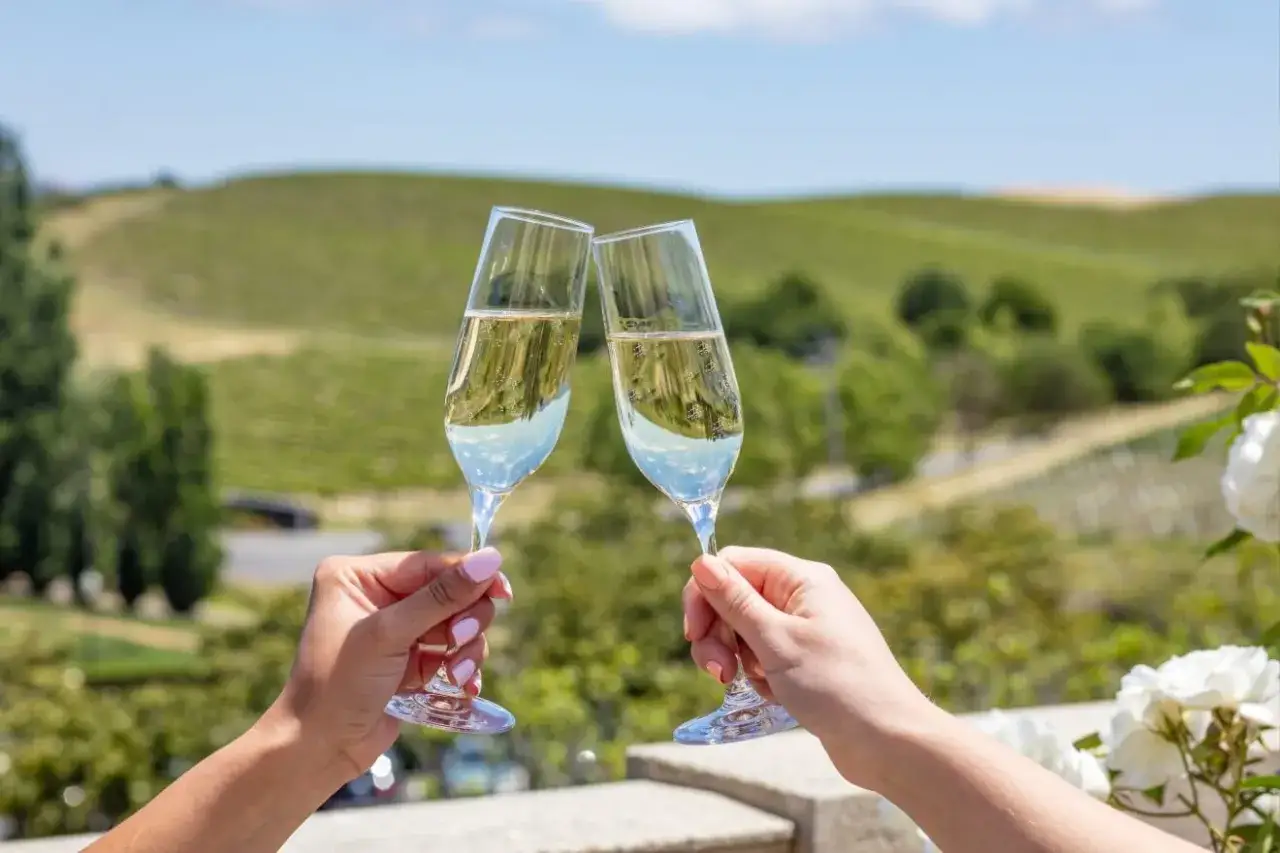 Zwei Gl&auml;ser Champagner sto&szlig;en an, mit Blick auf Weinberge, die zeigen, woher Champagner kommt.