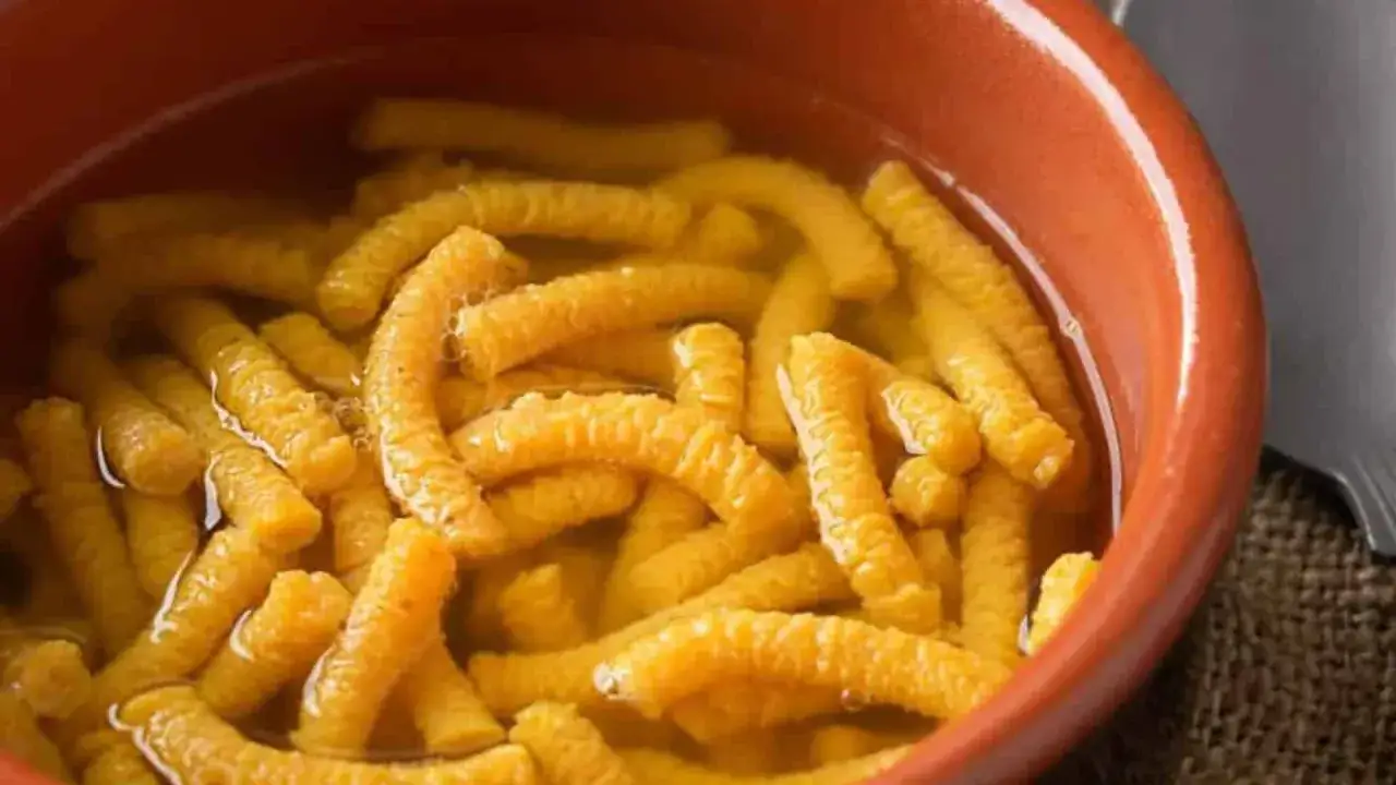 Un piatto di vincisgrassi, un classico cibo marchigiano, servito in una ciotola di terracotta.