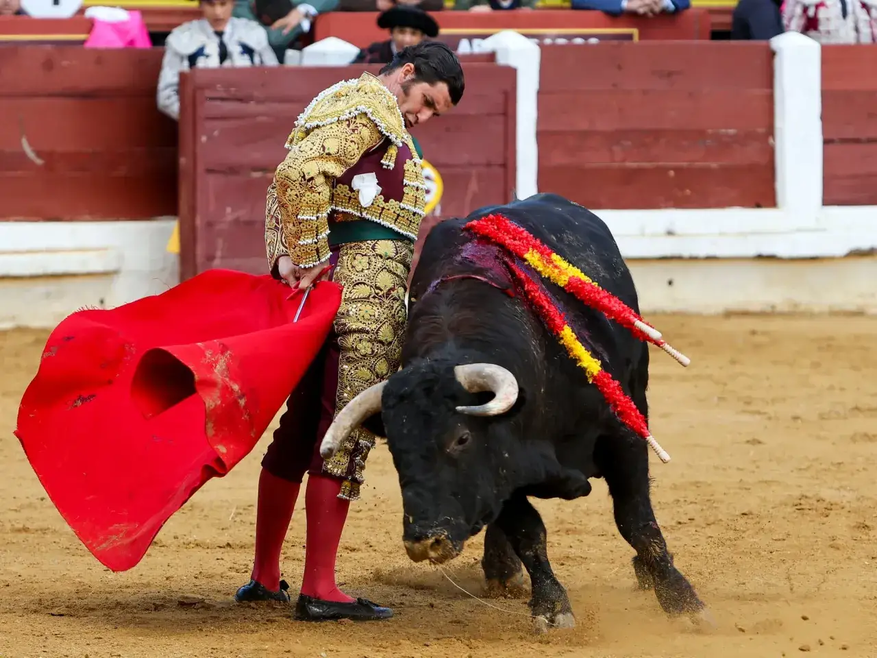 Un torero con traje de luces se enfrenta a un toro bravo en la arena. Esto es parte de lo que es tauromaquia, una tradici&oacute;n espa&ntilde;ola.