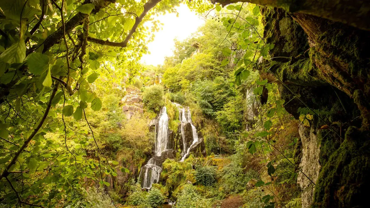La cascade du Devez, un spectacle naturel impressionnant, se déverse dans un écrin de verdure luxuriante, entourée de rochers moussus et de feuillages denses.
