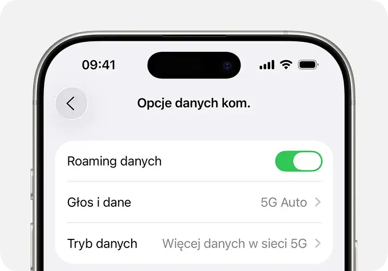 Ustawienia roamingu danych iOS iPhone