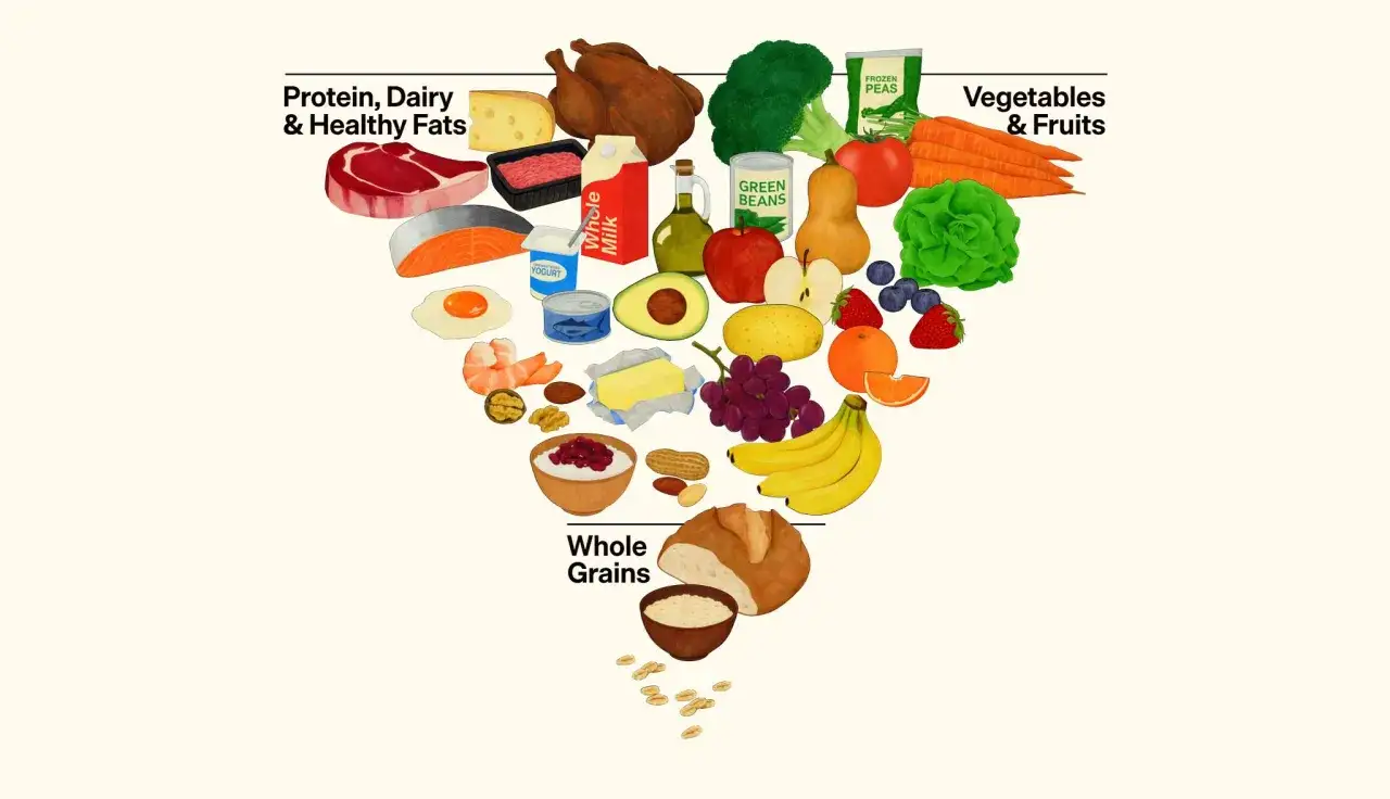 Un assortiment d'aliments sains, incluant des prot&eacute;ines, des produits laitiers, des fruits, des l&eacute;gumes et des grains entiers, montrant diverses sources de lipides.