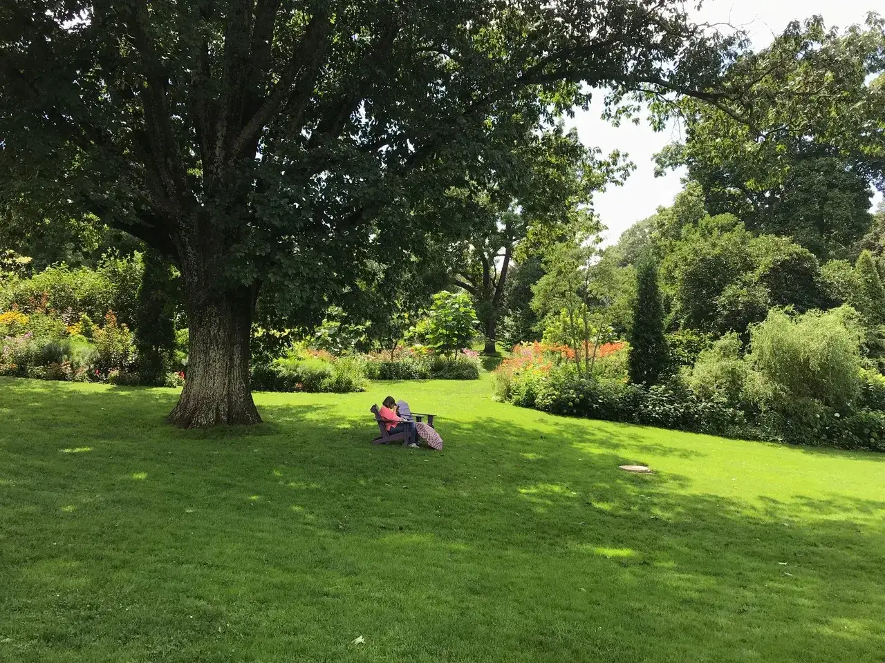 Persona seduta su una sedia a sdraio sotto un grande albero, immersa nella lettura. Un momento di pace nel verde, forse il miglior sport contro la depressione.