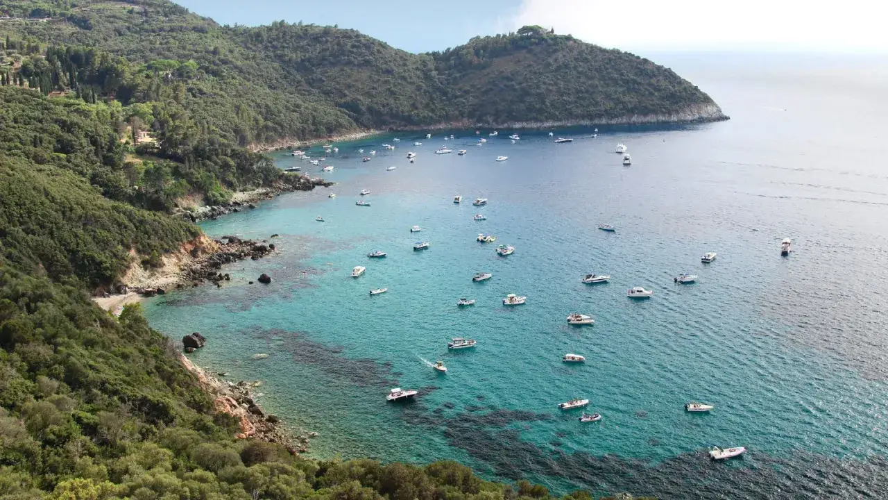 Vue d'une **ville toscane bord de mer** avec des collines verdoyantes et une baie remplie de bateaux naviguant sur des eaux turquoise.