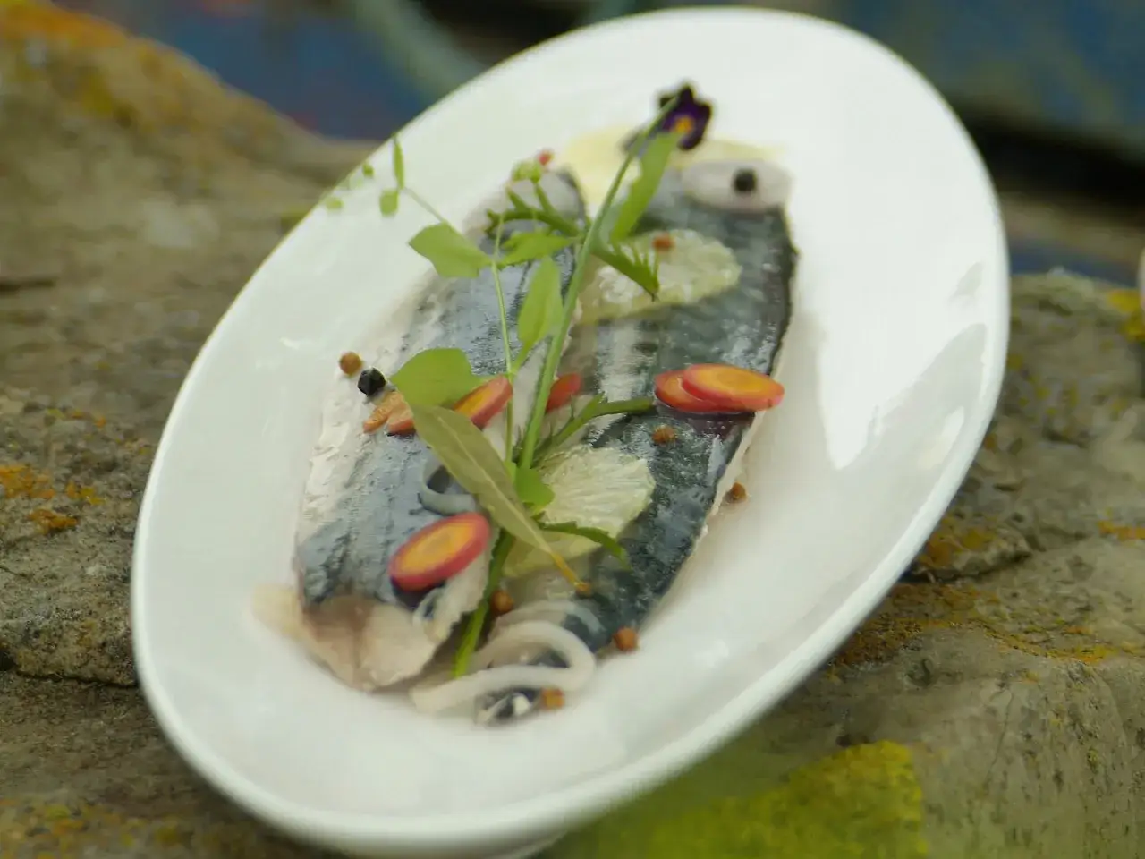 Maquereau au vin blanc, finement préparé avec des rondelles de carotte, des herbes fraîches et des baies de poivre sur une assiette blanche.