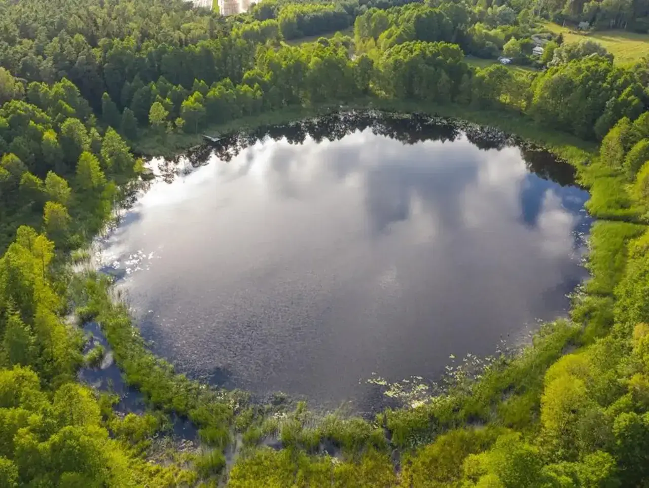 Malownicze jezioro W&oacute;jtowskie otoczone bujną zielenią las&oacute;w i trzcin. Woda odbija chmury, tworząc lustrzaną taflę.
