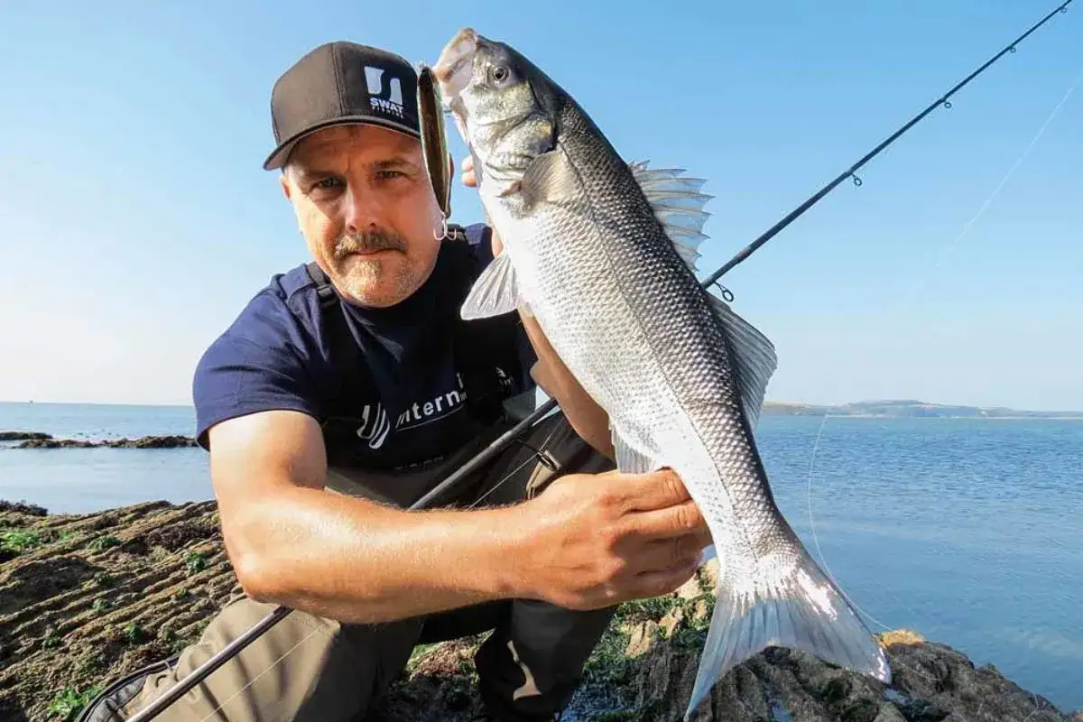 Gl&uuml;cklicher Angler pr&auml;sentiert stolz einen frisch gefangenen barsch salzwasser am felsigen Ufer.