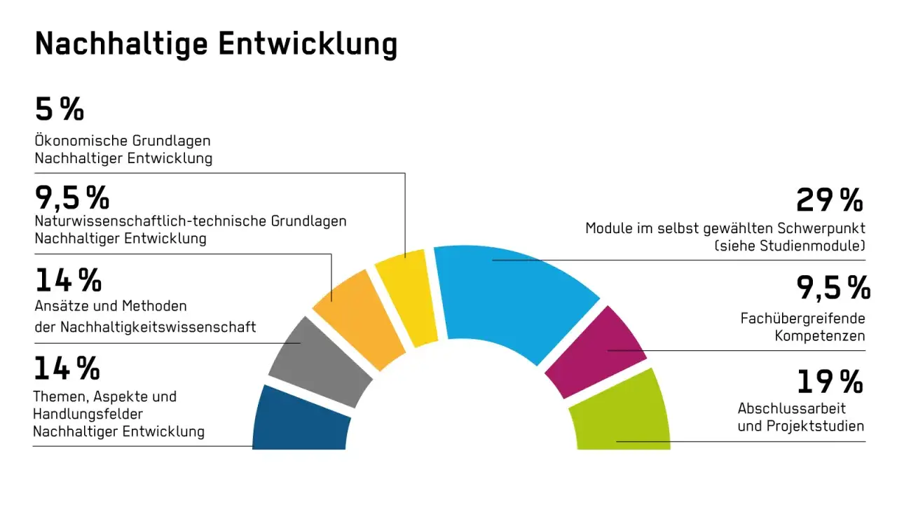 Diagramm zur nachhaltigen Entwicklung: 29% Wahlmodule, 19% Abschlussarbeit, 14% Ansätze, 14% Themen, 9,5% naturwissenschaftliche Grundlagen, 9,5% fachübergreifende Kompetenzen, 5% ökonomische Grundlagen.