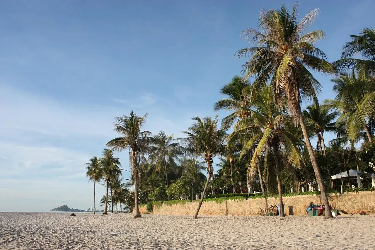 Plaża w Hua Hin z palmami i piaskiem. W oddali widać wzg&oacute;rze i budynki.
