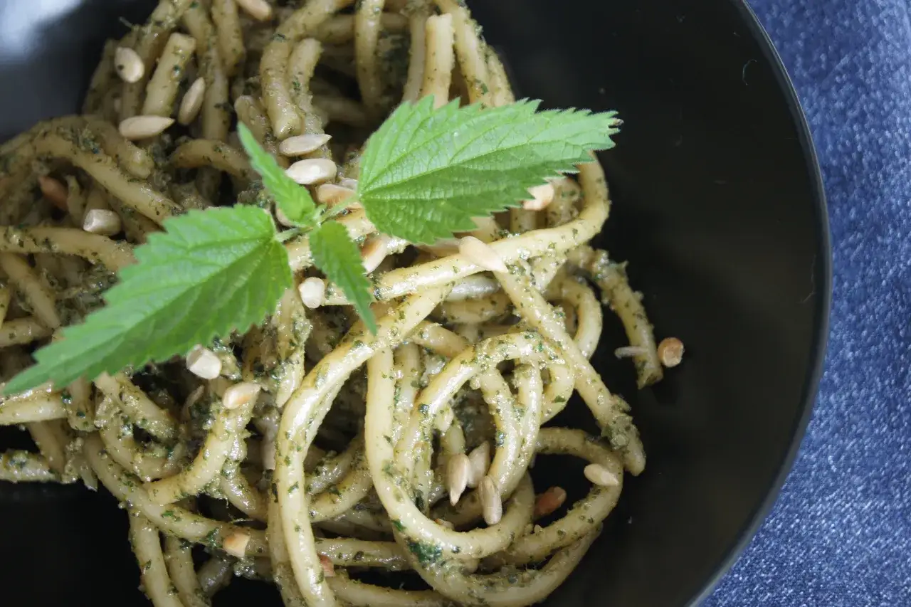 Makaron z aromatycznym pesto z pokrzywy, posypany pestkami słonecznika i ozdobiony świeżym listkiem pokrzywy.