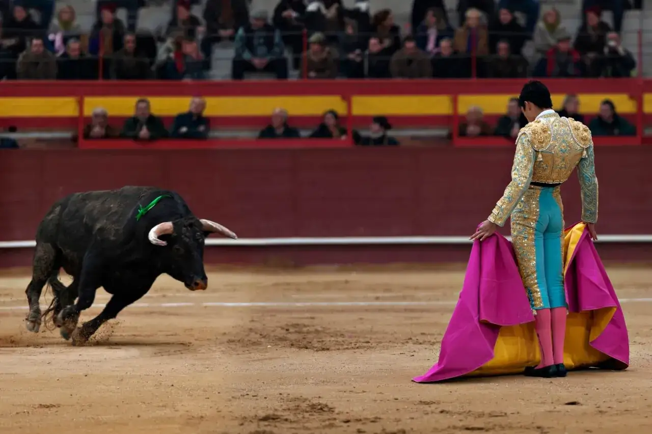 Un torero con traje de luces se prepara para la corrida de toros, mientras un toro embiste en la arena.