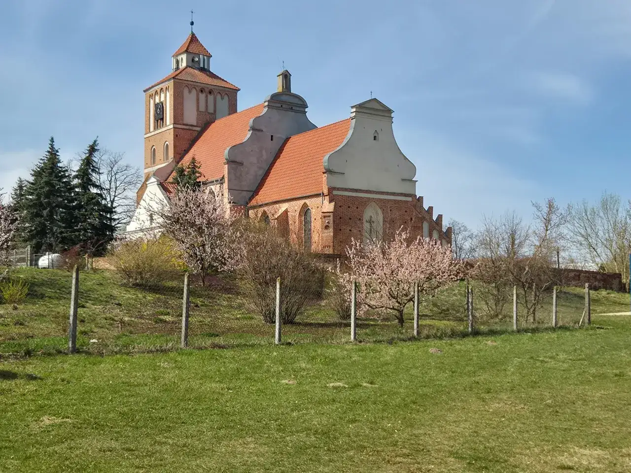 Nieszawa atrakcje: zabytkowy kościół z cegły z charakterystyczną wieżą i ozdobnymi szczytami, otoczony kwitnącymi drzewami.