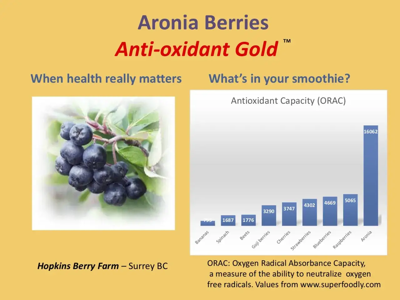 Aronia-Beeren, reich an Eisen und Antioxidantien, übertreffen andere Früchte in der ORAC-Skala.