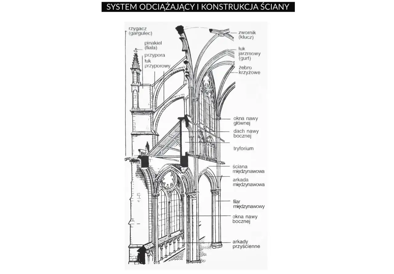 Przekrój architektoniczny ukazujący system odciążający i konstrukcję ściany w stylu gotyckim, z łukami przyporowymi i żebrami krzyżowymi.