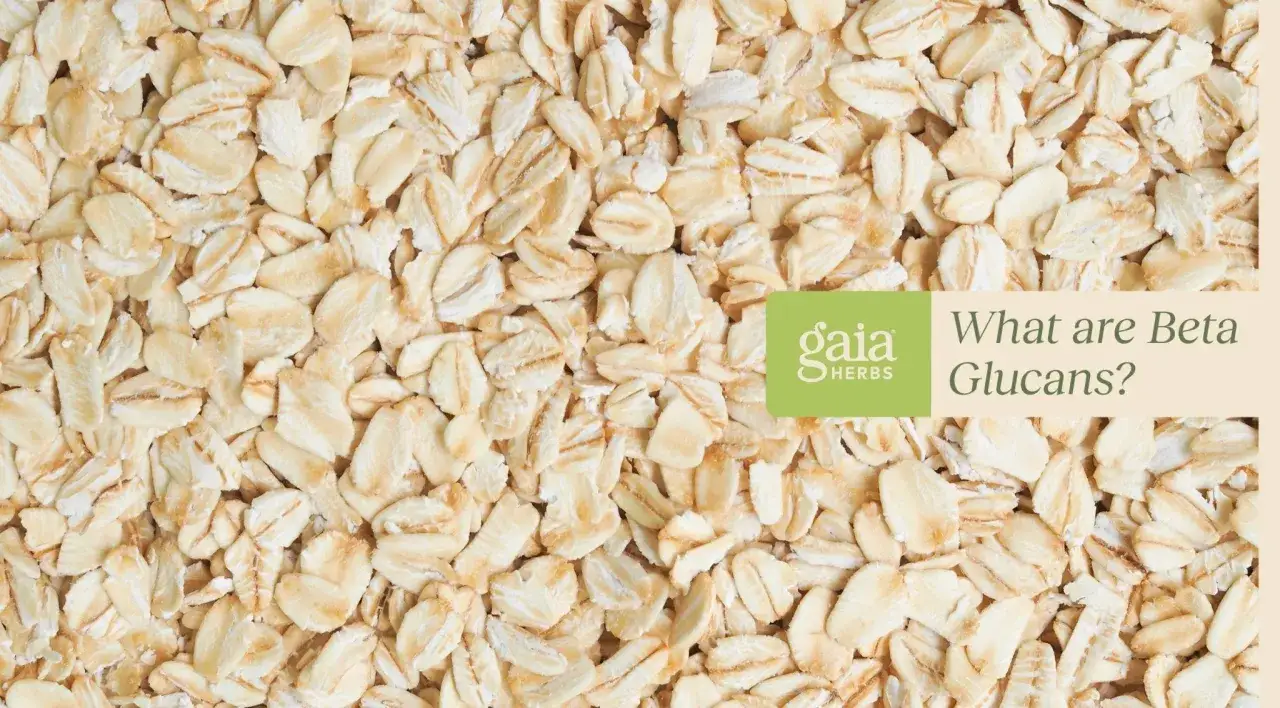 Haferflocken, die Quelle f&uuml;r Beta-Glucan-Wirkung, sind hier im Detail zu sehen.