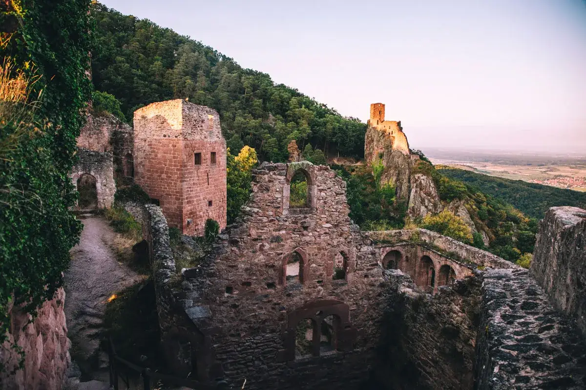 Ruines de châteaux médiévaux dominant un paysage verdoyant, rappelant l'histoire du village médiéval de Ribeauvillé.