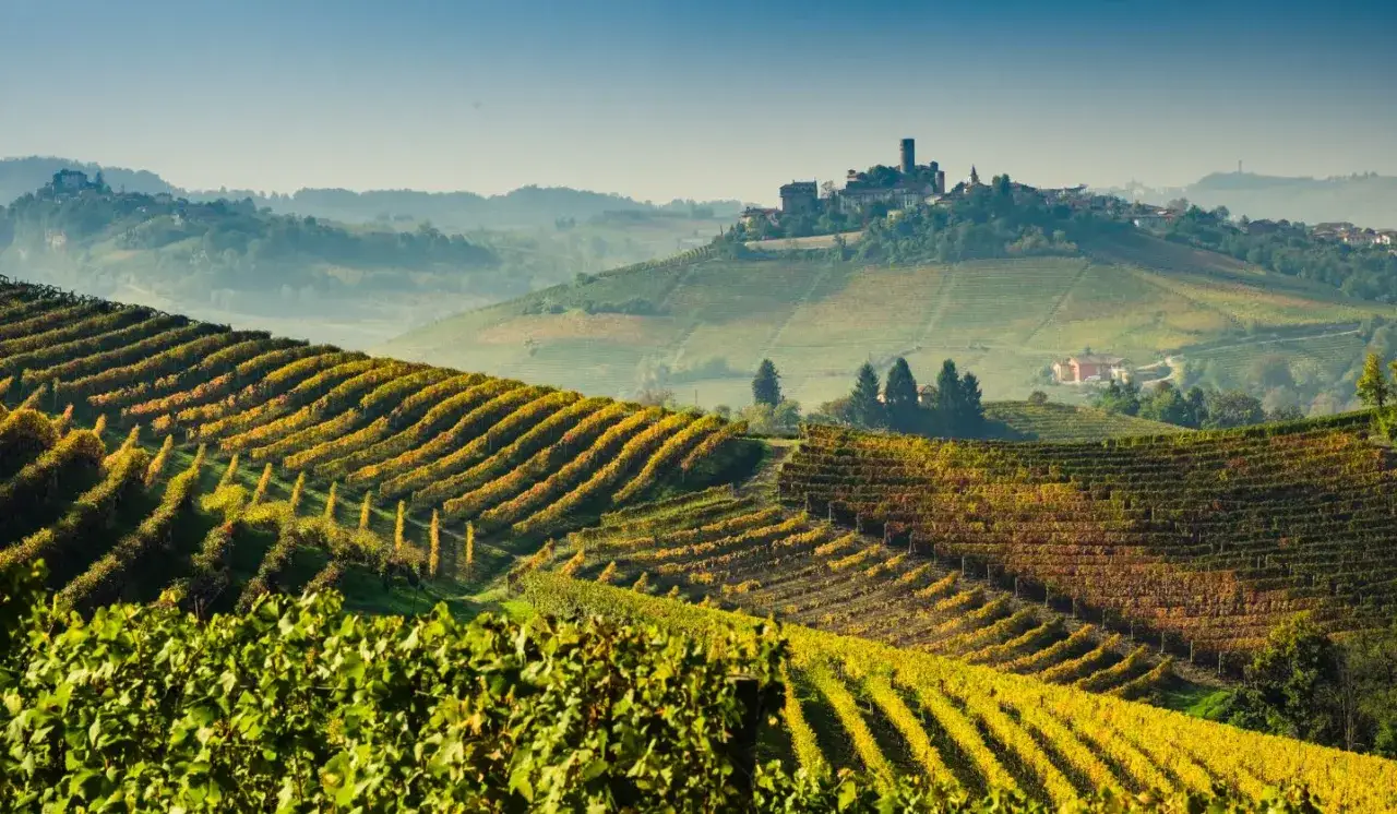 Colline delle Langhe con vigneti dorati e un borgo in lontananza, un paesaggio perfetto per un giro in moto.