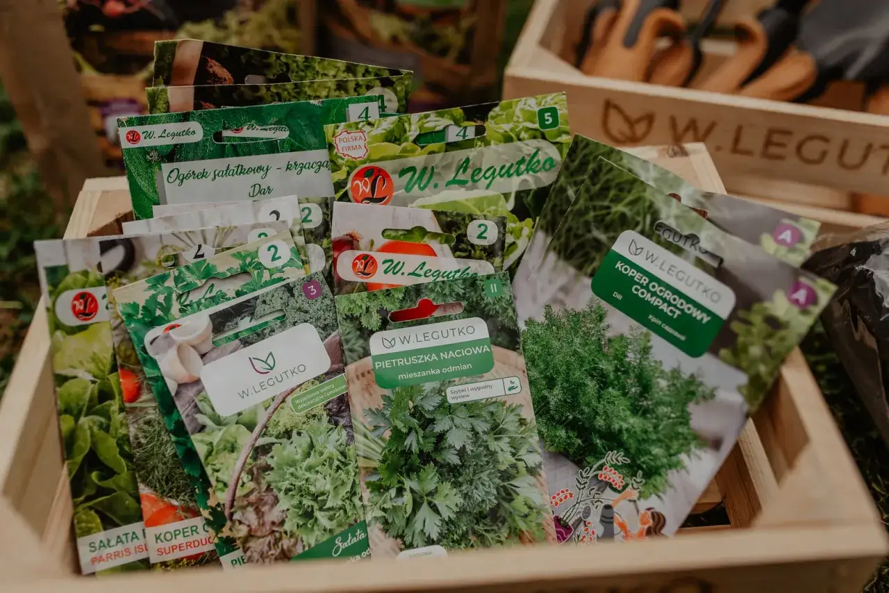 W drewnianej skrzynce leżą paczuszki nasion, w tym pietruszka naciowa. Obok znajdują się nasiona kopru i sałaty.