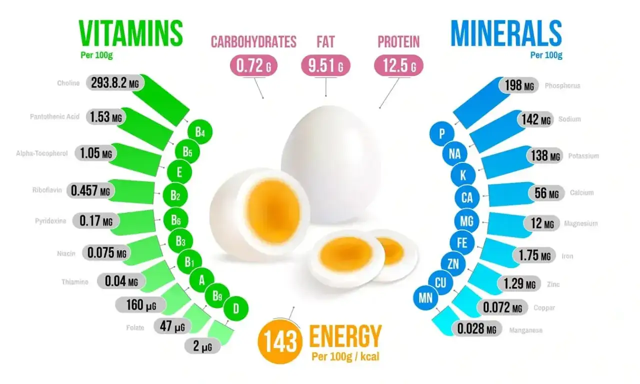 Ein Ei enth&auml;lt 12,5 g Protein pro 100 g. Die Grafik zeigt auch Vitamine, Mineralstoffe und Energie.