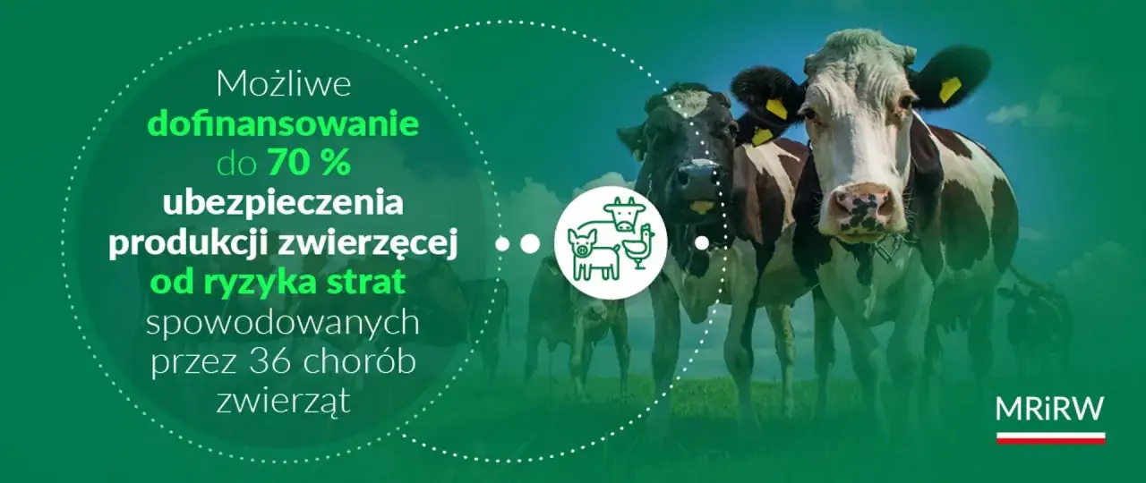 Dofinansowanie do 70% ubezpieczenia produkcji zwierzęcej od ryzyka strat spowodowanych chorobami. Zabezpiecz swoje zwierzęta gospodarskie.