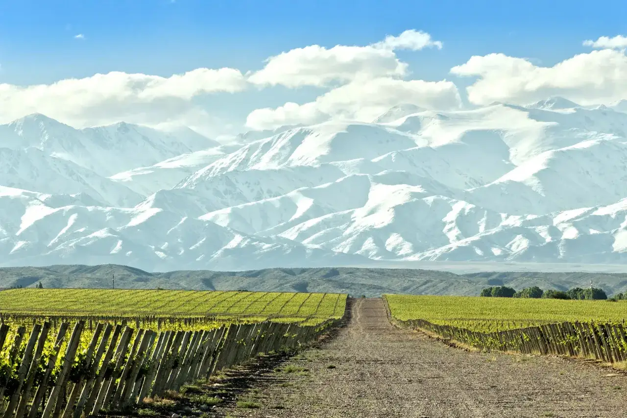 A dirt road leads through lush vineyards towards snow-capped mountains, offering a glimpse of the many things to do in Mendoza, Argentina.