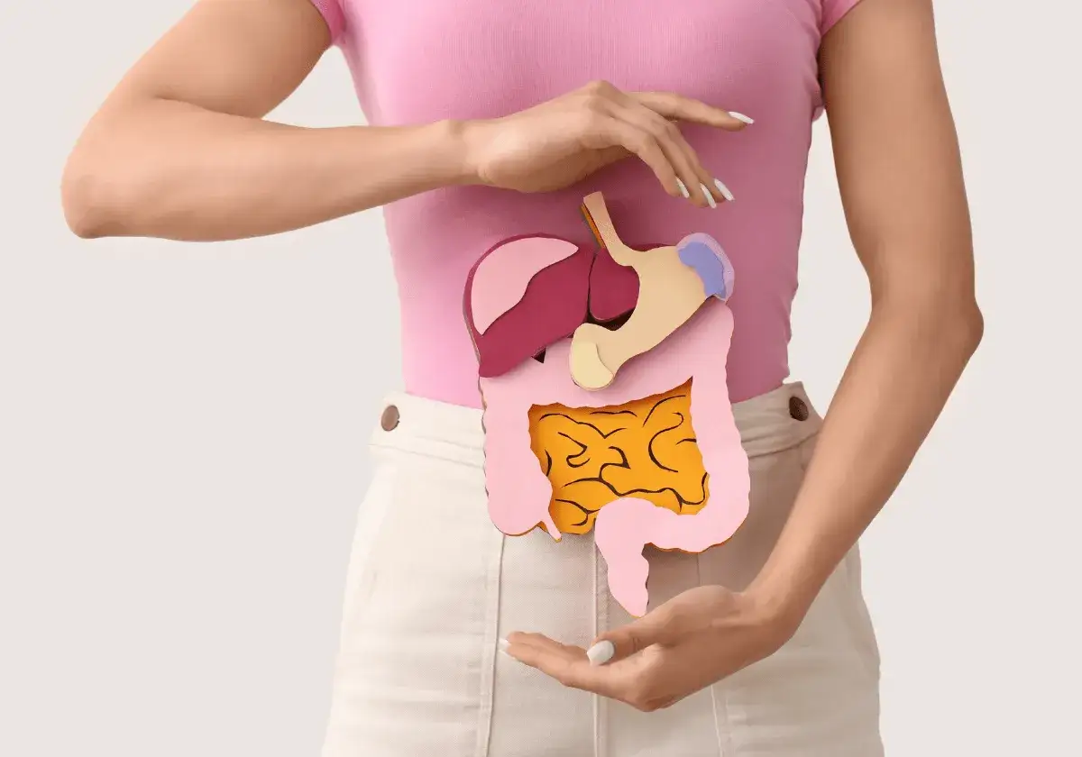 Une personne tient une repr&eacute;sentation en papier des organes digestifs. L'eau gazeuse peut parfois causer des gaz intestinaux.