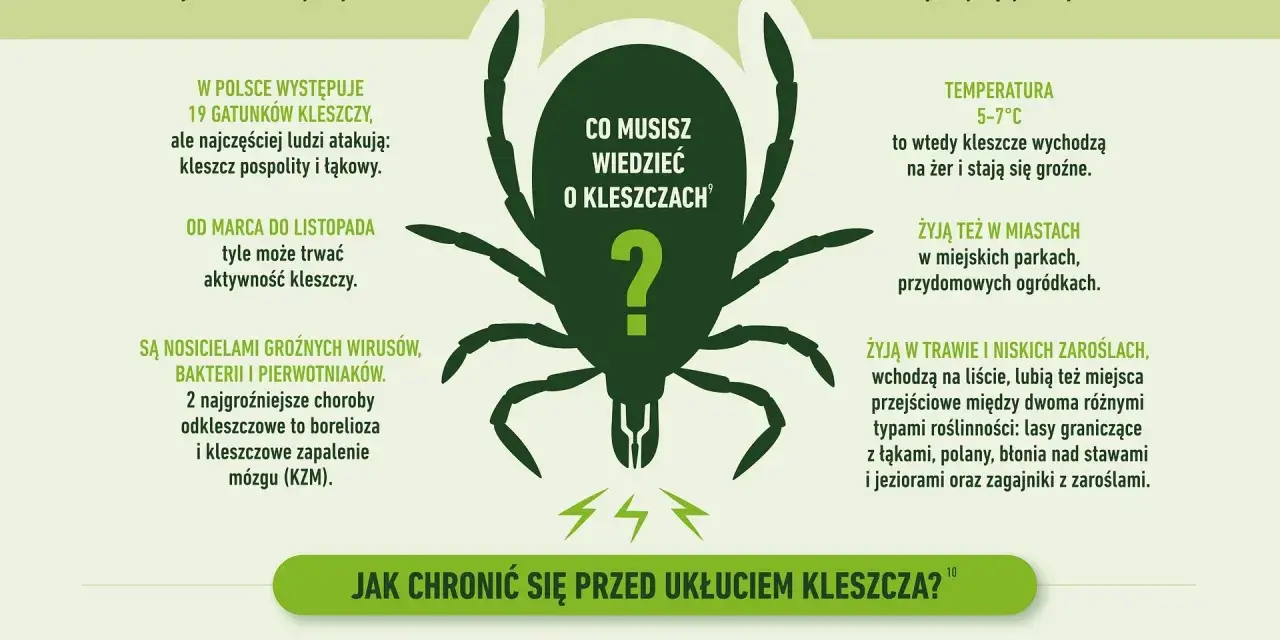 Kleszcze przenoszą groźne choroby, w tym odkleszczowe zapalenie opon mózgowych (KZM). Dowiedz się, jak się chronić przed tymi pajęczakami.