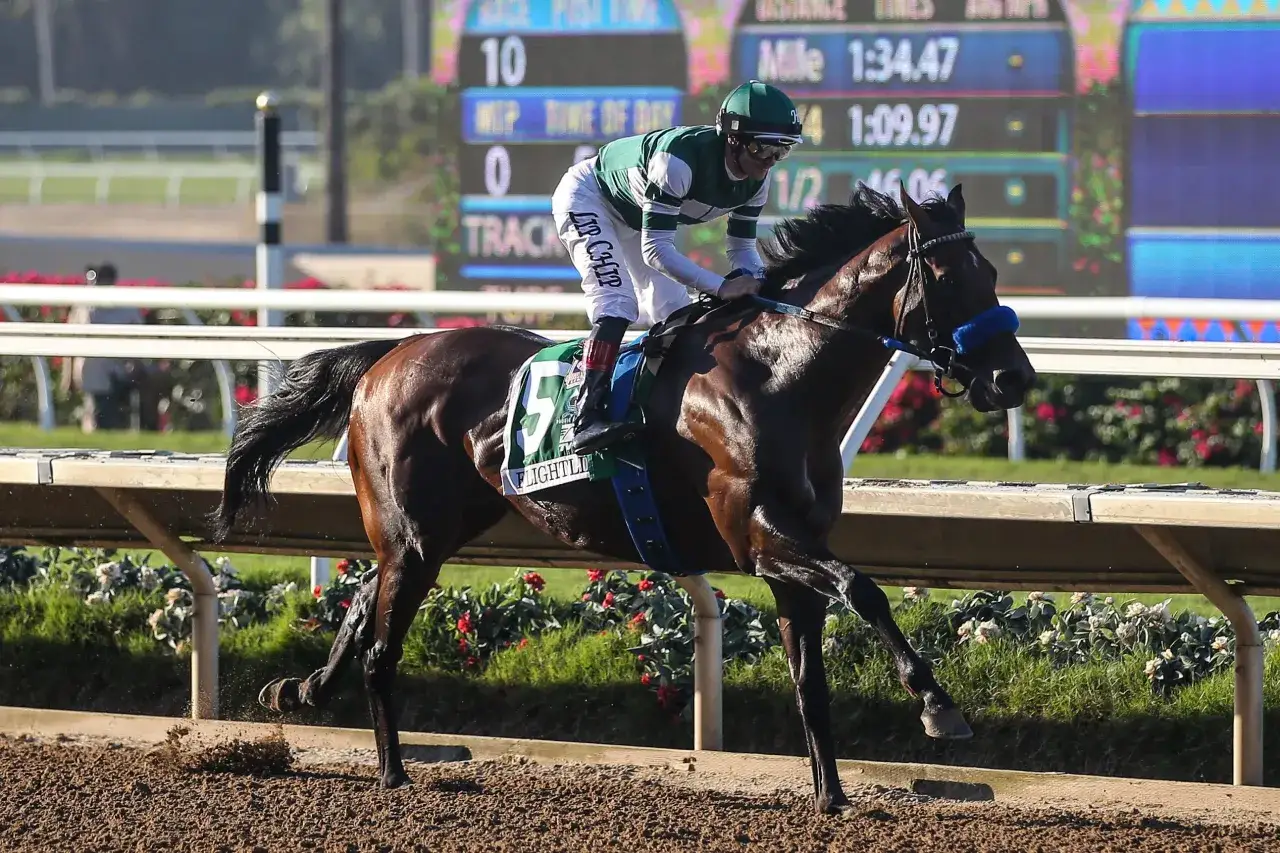 Un jockey en tenue verte et blanche monte un cheval brun portant le num&eacute;ro 5, 