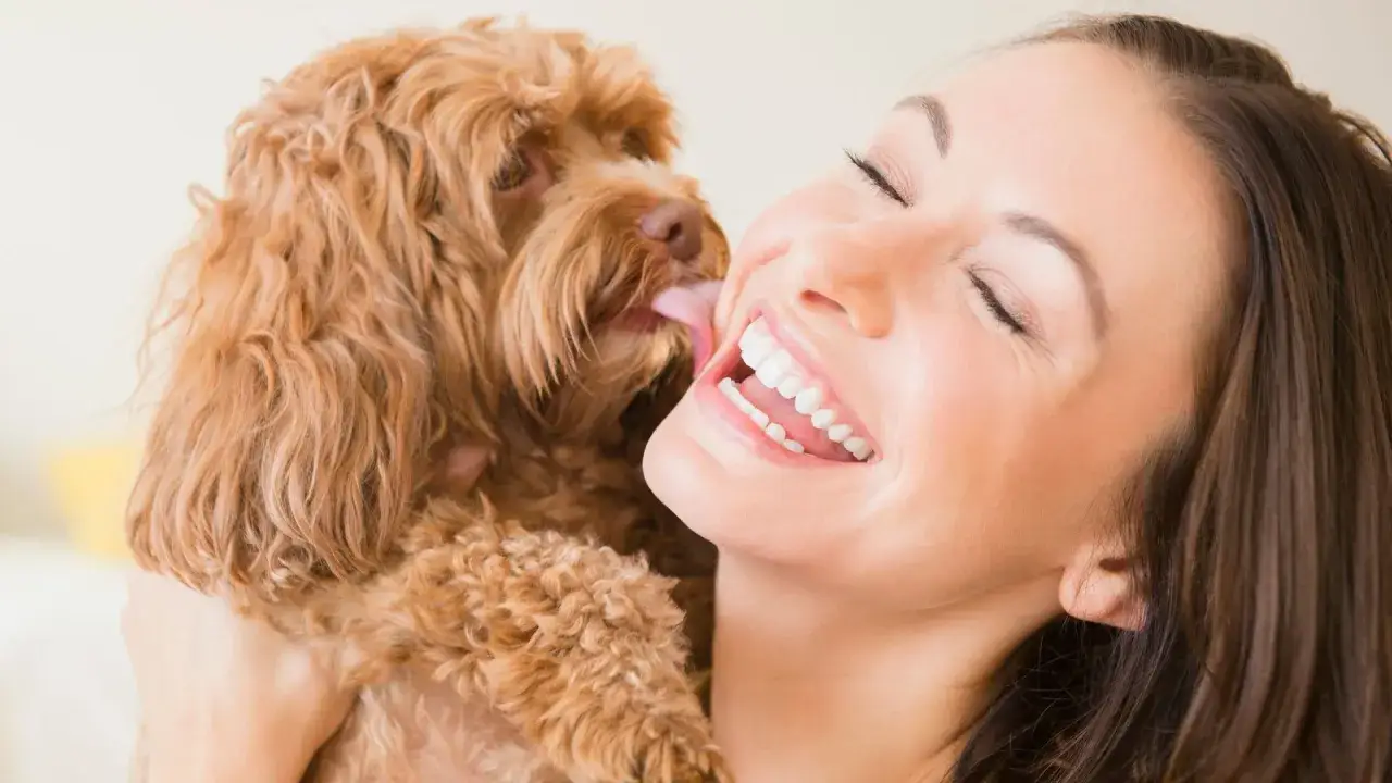 Mi perro me da muchos besos, &iexcl;y me encanta! Su lengua peluda me hace cosquillas en la mejilla mientras r&iacute;e.