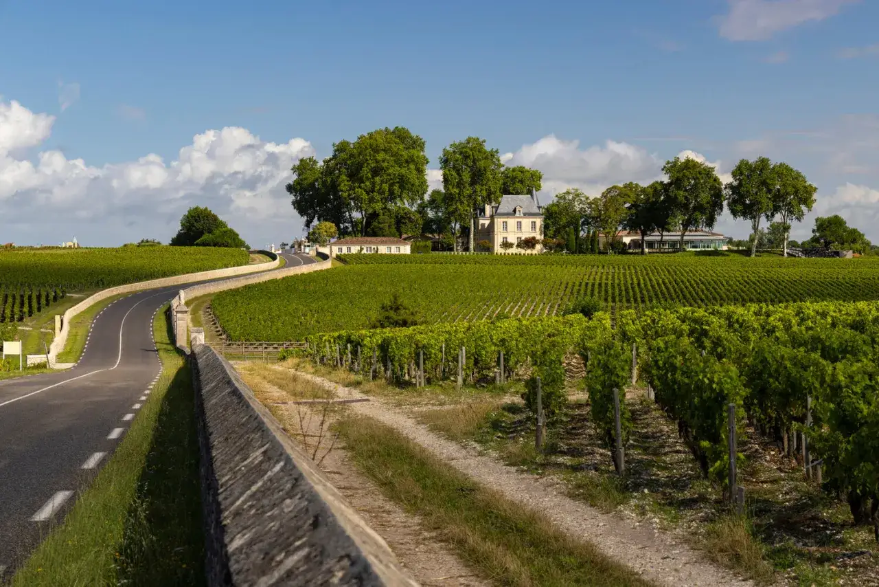 La route des châteaux du Médoc serpente à travers des vignobles verdoyants menant à de belles demeures.
