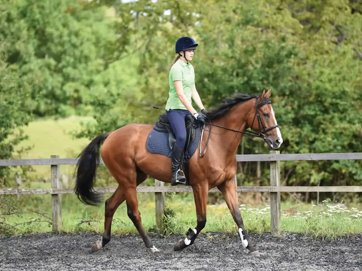 Une cavali&egrave;re en tenue d'&eacute;quitation monte un cheval bai en plein trot enlev&eacute;. Le cheval est en mouvement dans une carri&egrave;re.
