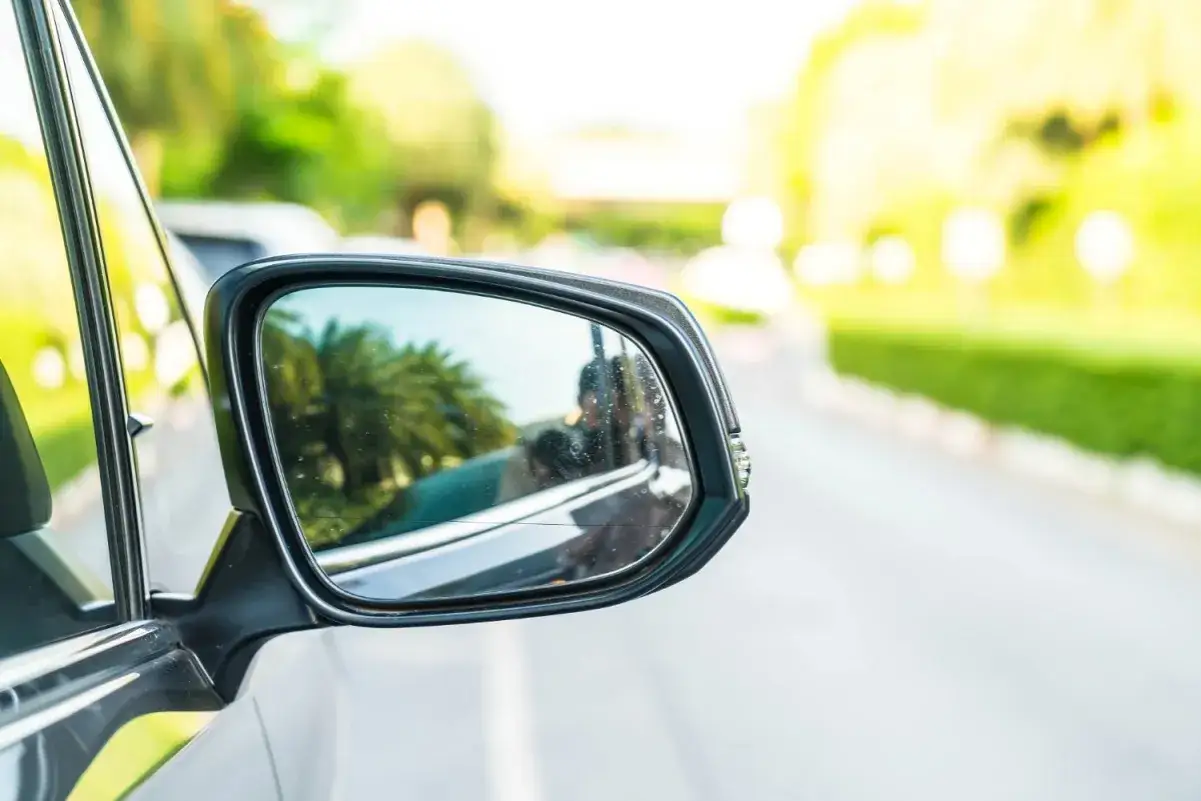 El retrovisor lateral, que es obligatorio, refleja palmeras y el interior del coche.