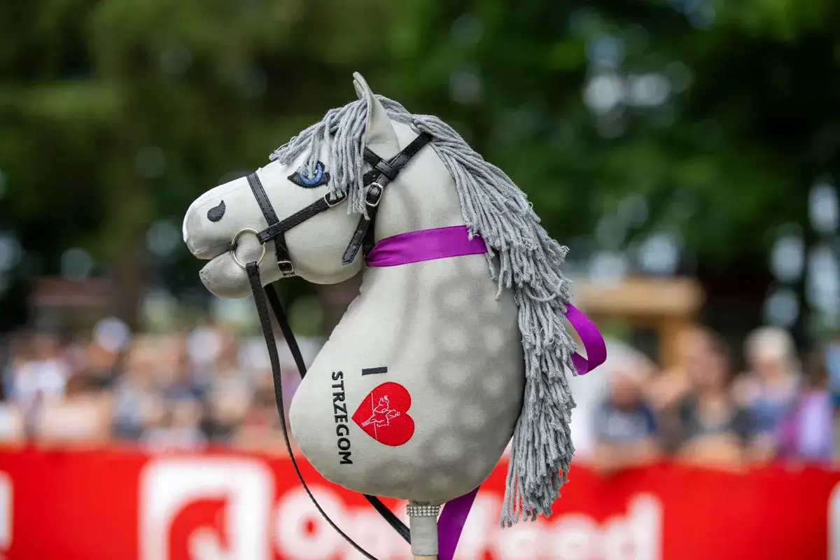 Szary hobby horse z fioletową wstążką i napisem 