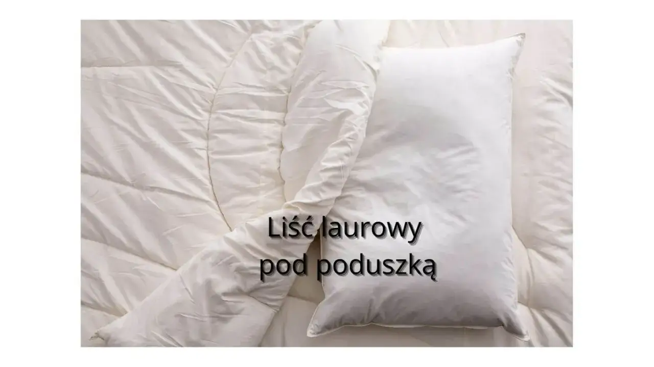 Biała pościel, kołdra i poduszka. Na poduszce tekst: