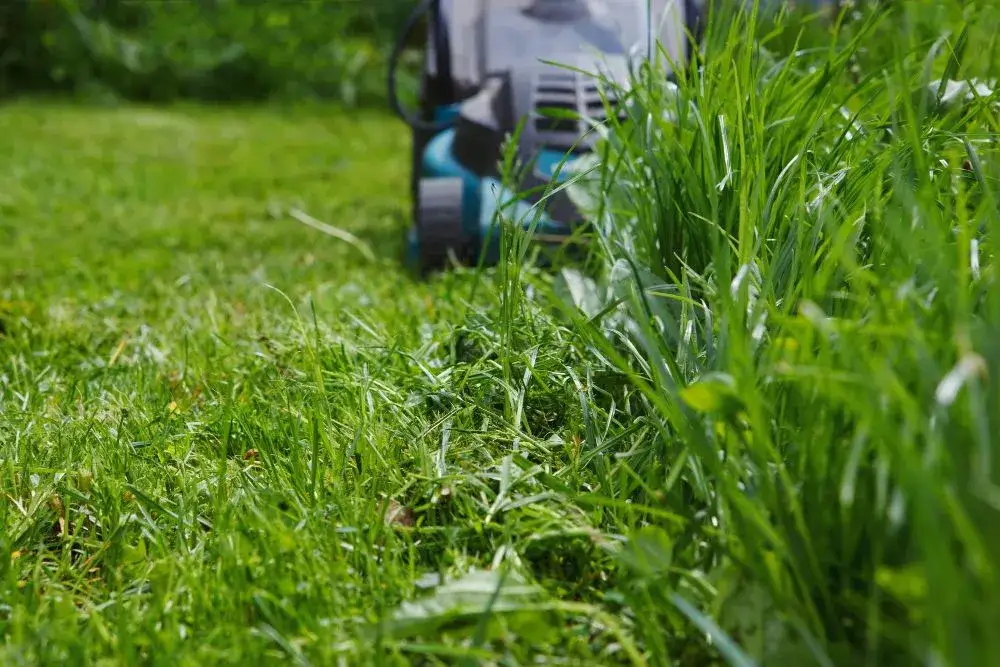 Wyrównywanie kolein metodą podnoszenia darni