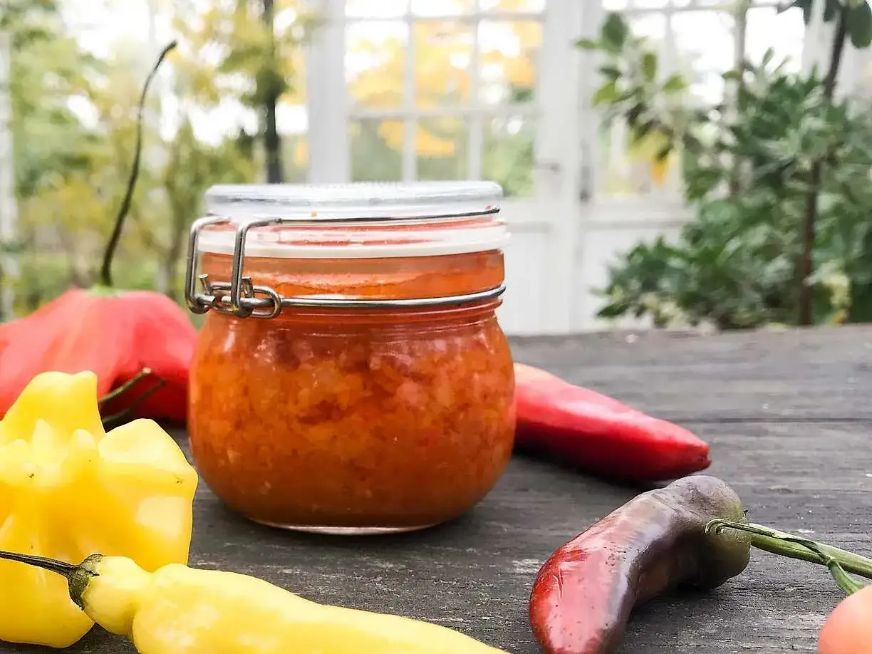 Burk med hemgjord chilis&aring;s, omgiven av f&auml;rska chilisorter. Ett perfekt chilis&aring;s recept f&ouml;r hemmabruk.