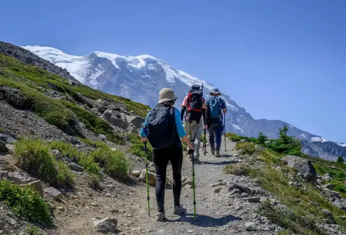Trzy osoby wędrują szlakiem górskim. To prawdziwy trekking, nie tylko zwykły hiking.