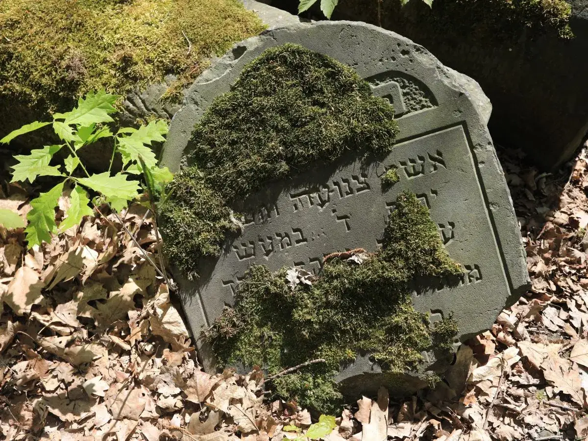 Kamienie na macewach to symbol pamięci i szacunku, tradycja wyjaśniająca, dlaczego żydzi kładą kamienie na pomnikach.
