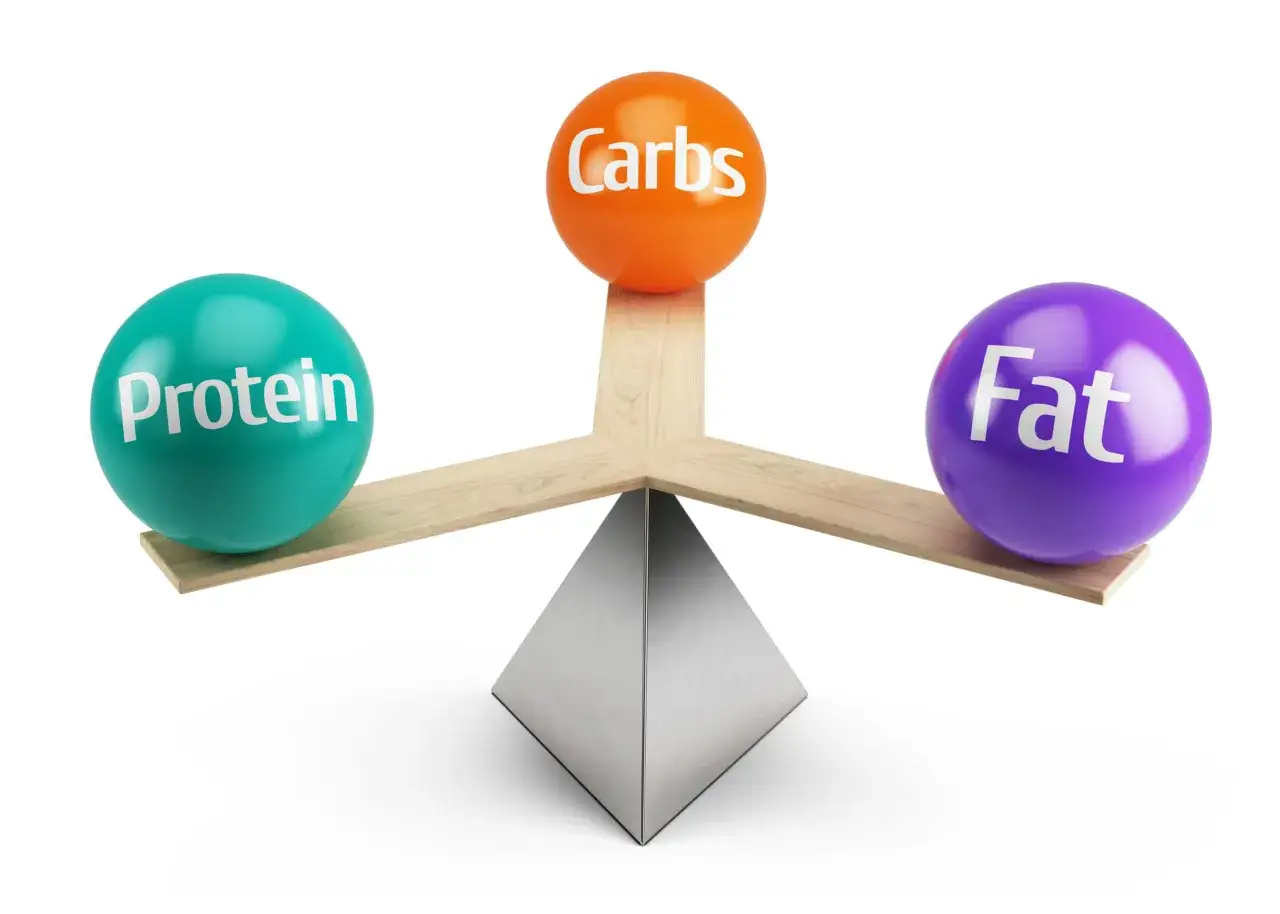 Eine Waage zeigt, wie wichtig die richtige Balance der Makros (Protein, Kohlenhydrate, Fett) für eine gesunde Ernährung ist.