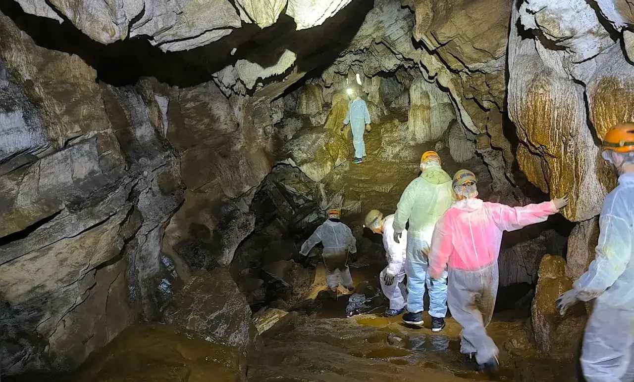 Exploradores con trajes blancos y cascos iluminan el camino en la cueva Rei Cintolo, admirando formaciones rocosas y charcos de agua.