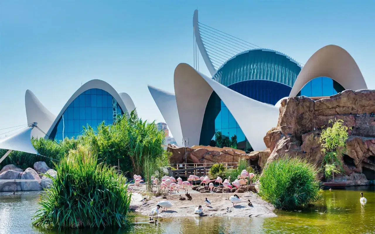Różowe flamingi i ptactwo wodne odpoczywają przy stawie przed futurystycznym budynkiem oceanarium w Walencji.