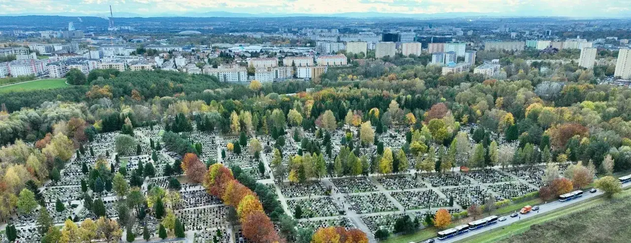 Cmentarz Batowice widok ogólny