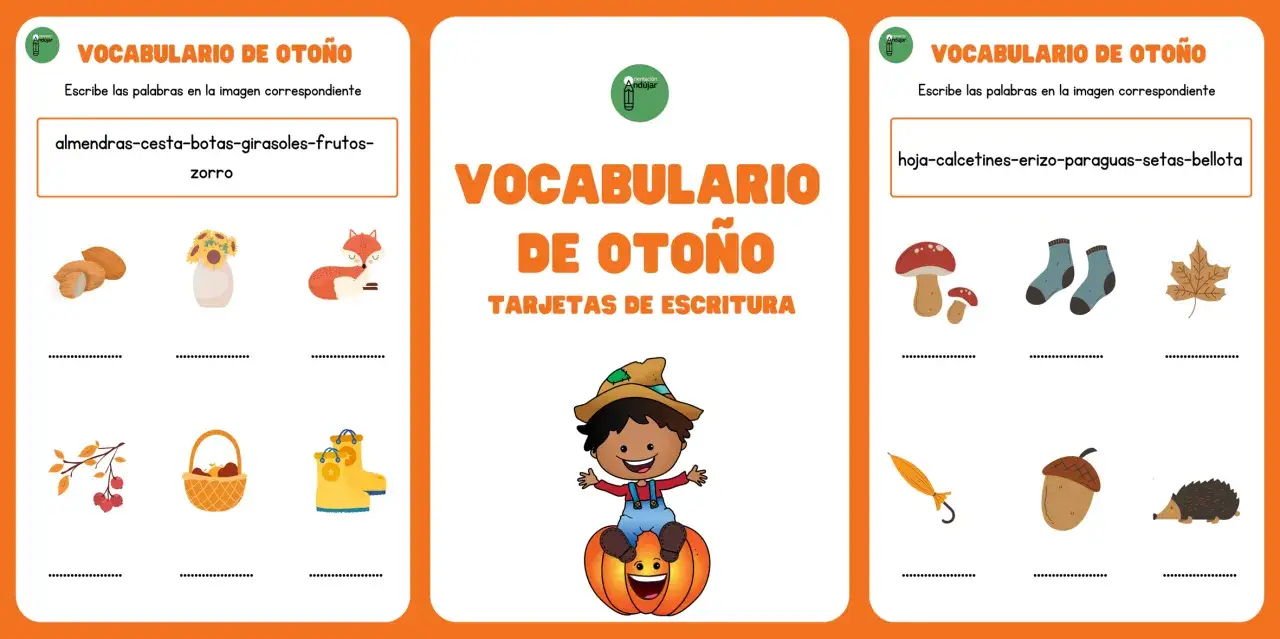 Hojas, setas, calcetines y más para aprender vocabulario de otoño.