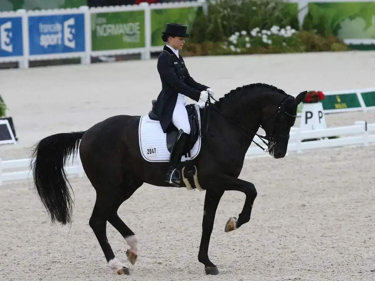 Une cavalière en tenue de compétition exécute un mouvement gracieux lors d'une épreuve de discipline équestre.