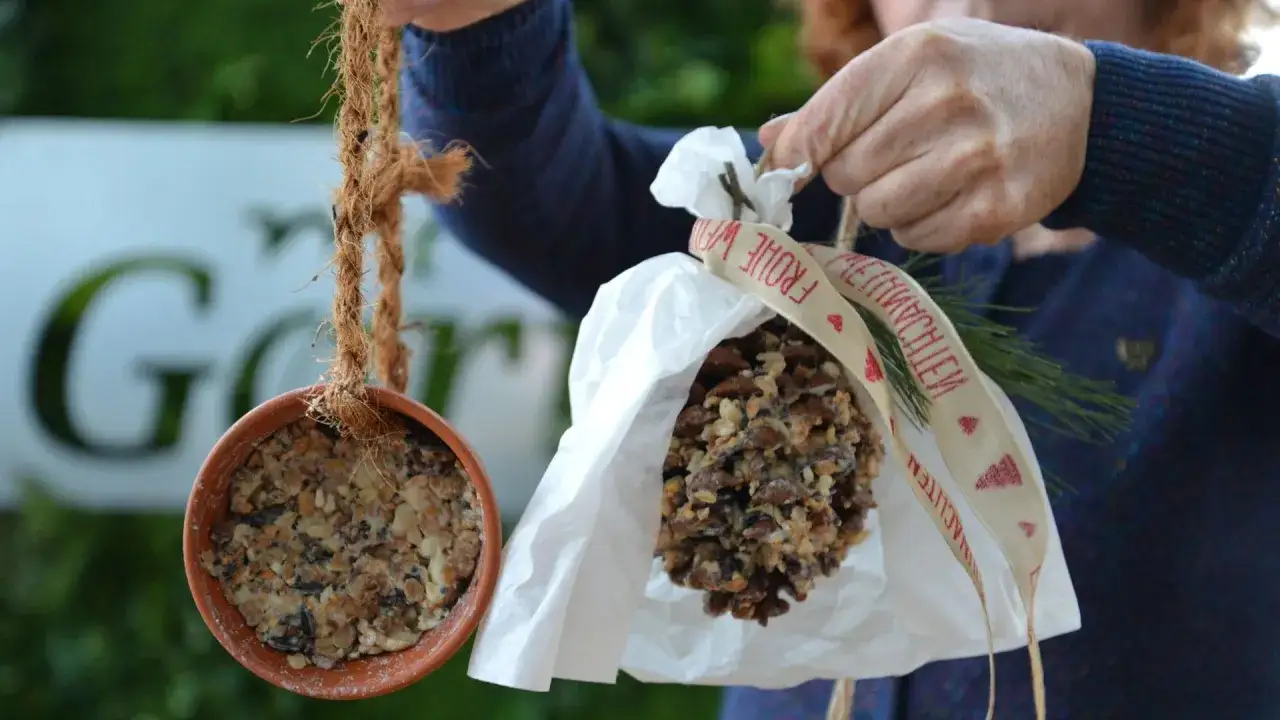 Zwei Arten von Vogelfutter im Winter: ein Tontopf mit K&ouml;rnern und ein Tannenzapfen mit N&uuml;ssen, bereit zum Aufh&auml;ngen.