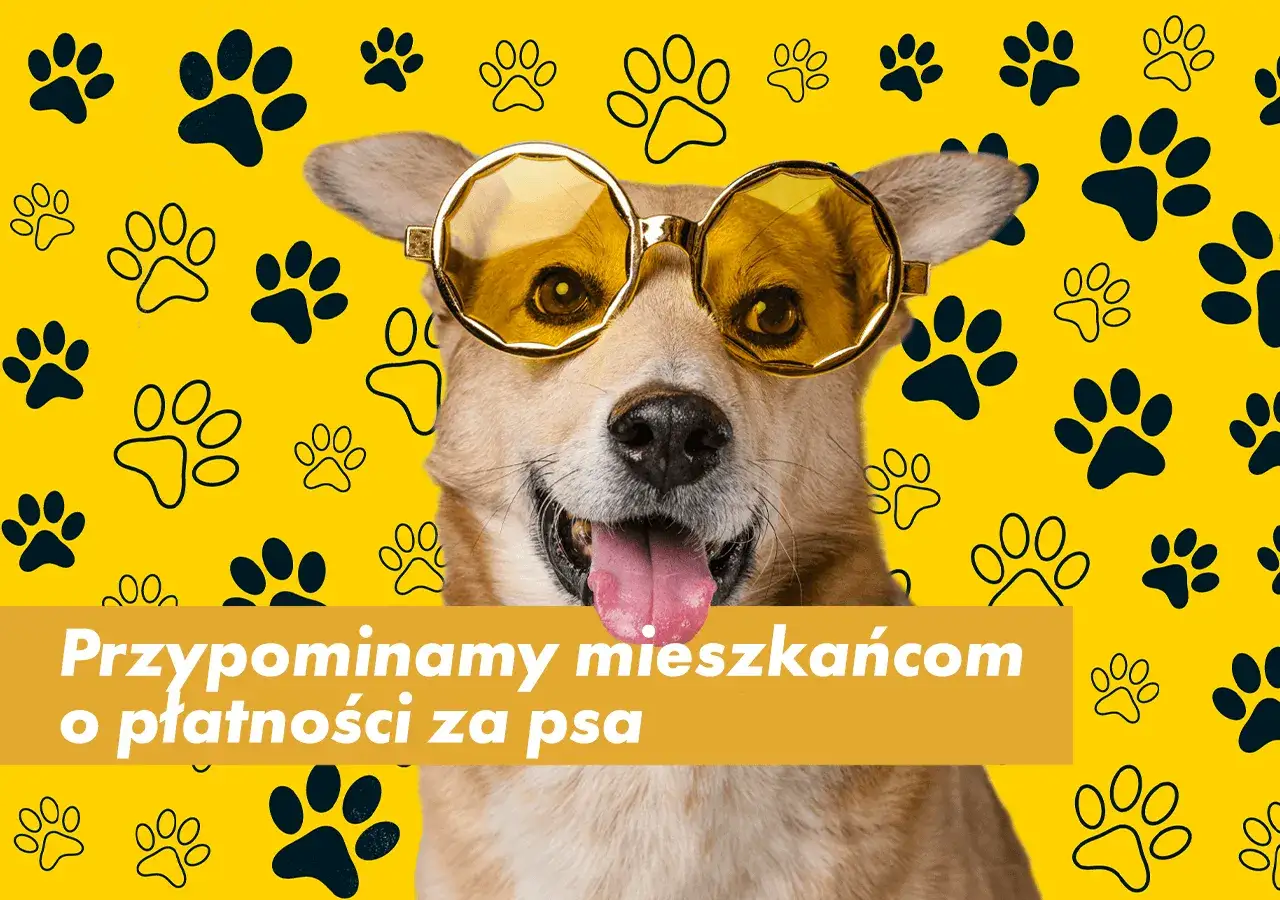Wesoły piesek w okularach przypomina o płatności za psa. Tło w łapki.