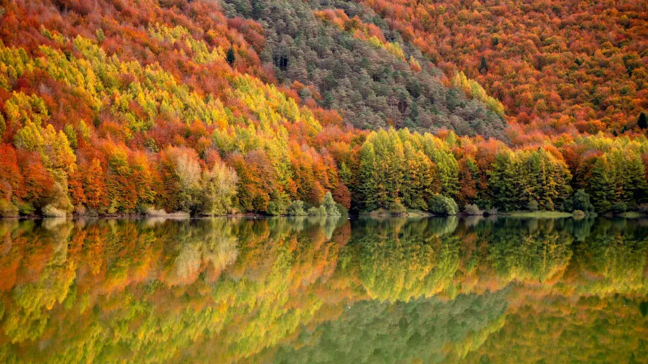 Espectacular reflejo de los bosques de Espa&ntilde;a en oto&ntilde;o, con &aacute;rboles de colores vibrantes que van del verde al rojo intenso.