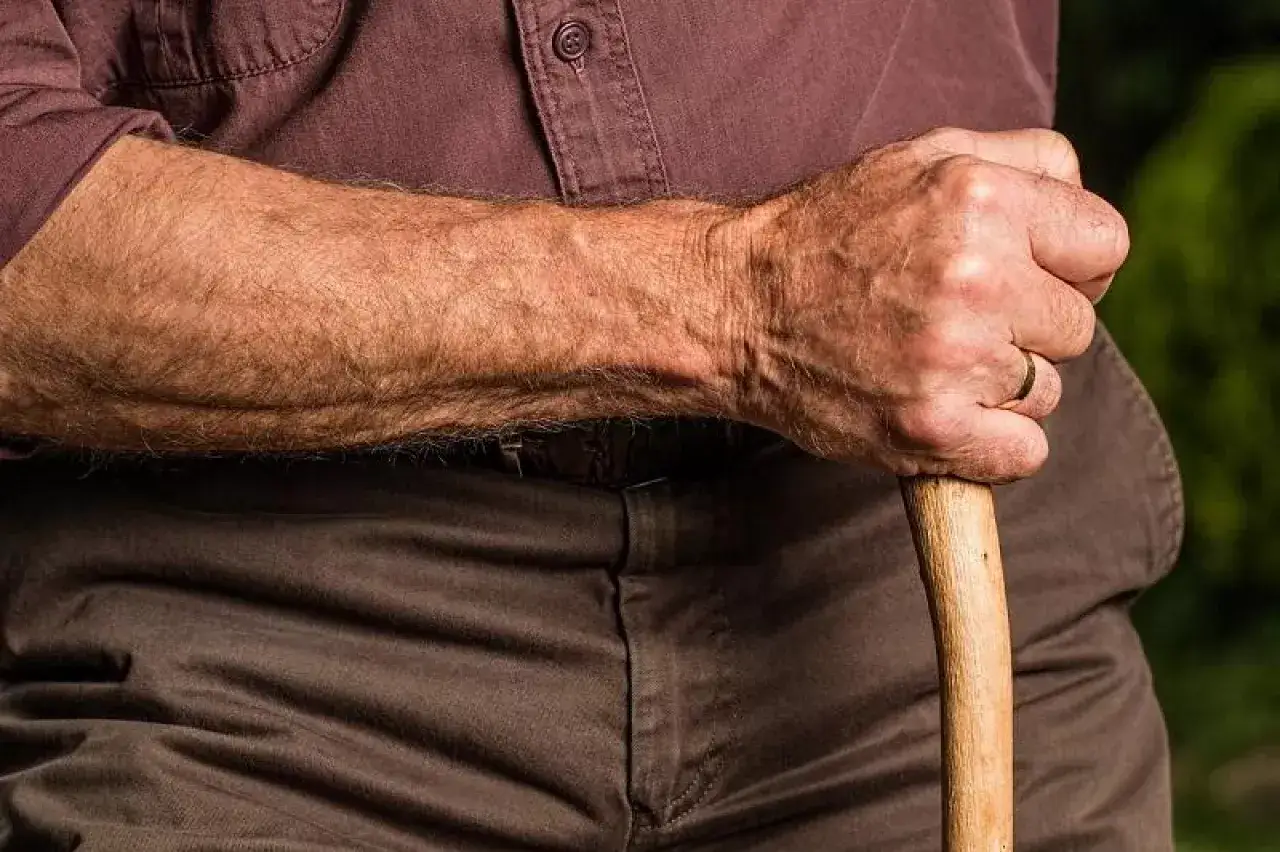 Dłoń starszego mężczyzny z obrączką na palcu opiera się o laskę. Czy nowe przepisy emerytury stażowe wejdą w życie do końca roku?