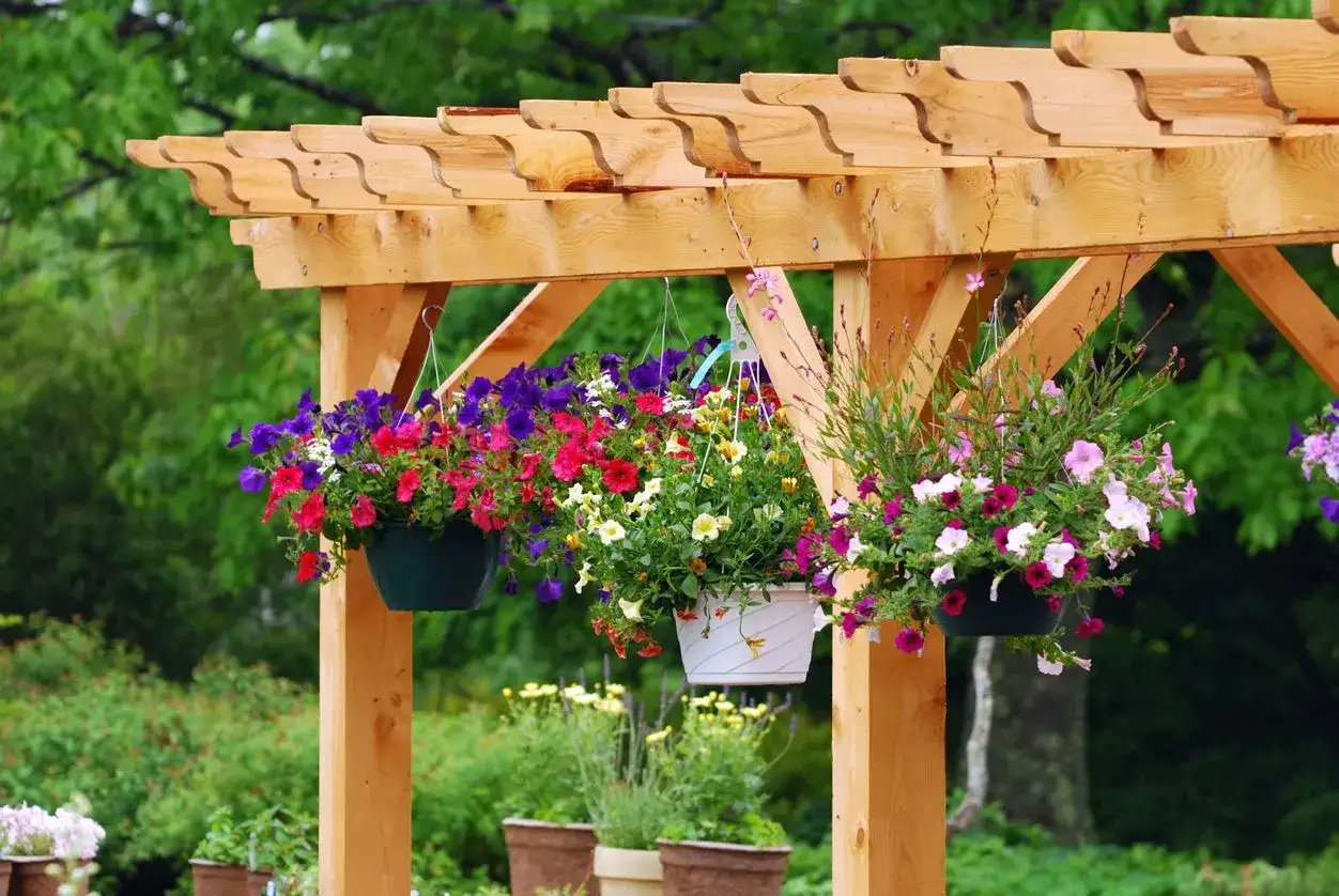 Drewniana pergola z wiszącymi donicami pełnymi kolorowych kwiatów. Inspiracja, jak zbudować pergolę, która ozdobi każdy ogród.